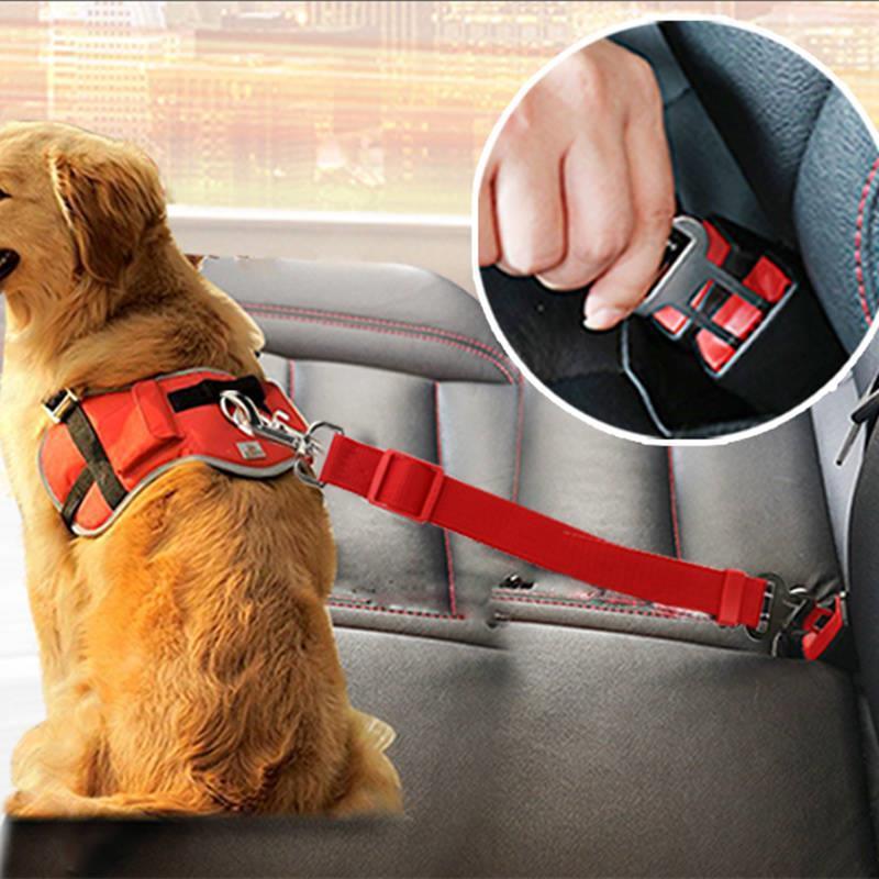 Telescopic Dog Traction Rope For Car Safety-0