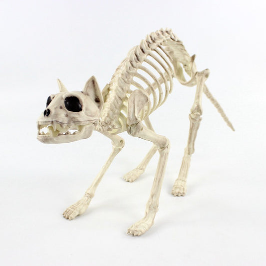 Size: 57cm, style: Cat - Halloween Decoration Artificial Animal Skeleton