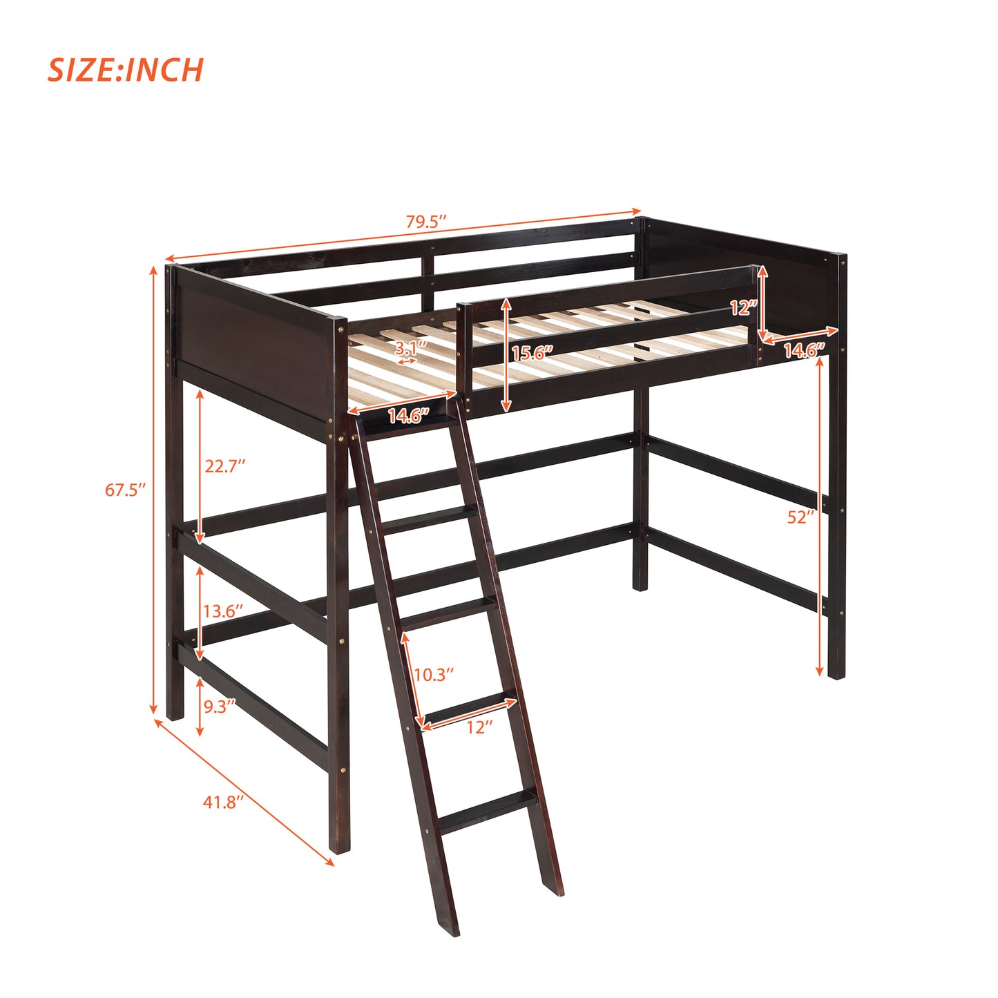 Solid Wood Twin Size Loft Bed with Ladder(Espresso)(OLD SKU: WF191903AAP)