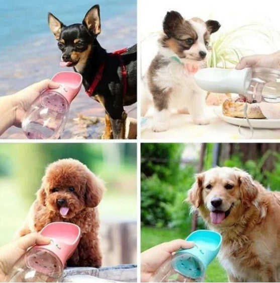 water-bottle-portable-pet-drinking-fountain