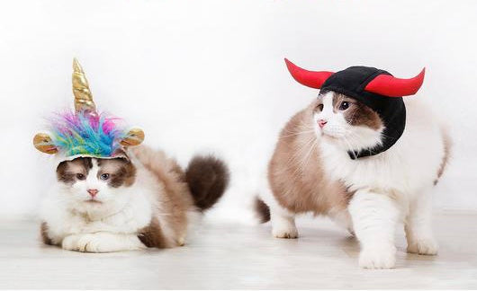 "Unicorn VS Devil" Pets Halloween Costume Hats-0