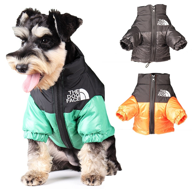 warm-fashionable-dog-jackets