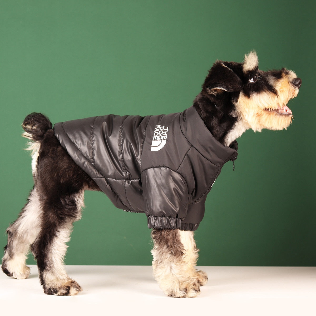 warm-fashionable-dog-jackets