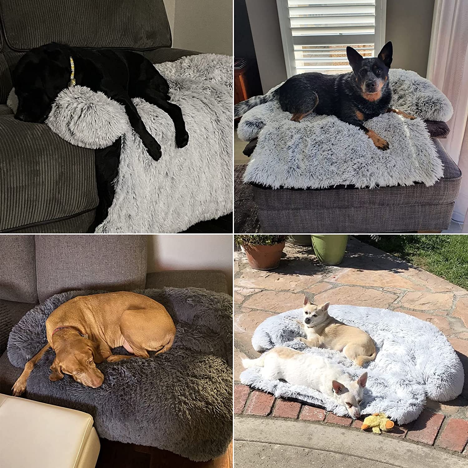 pet-dog-bed-cushion