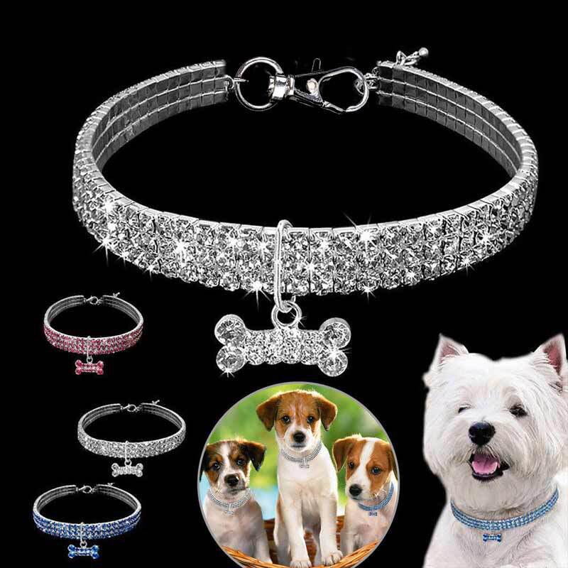 pet-collar