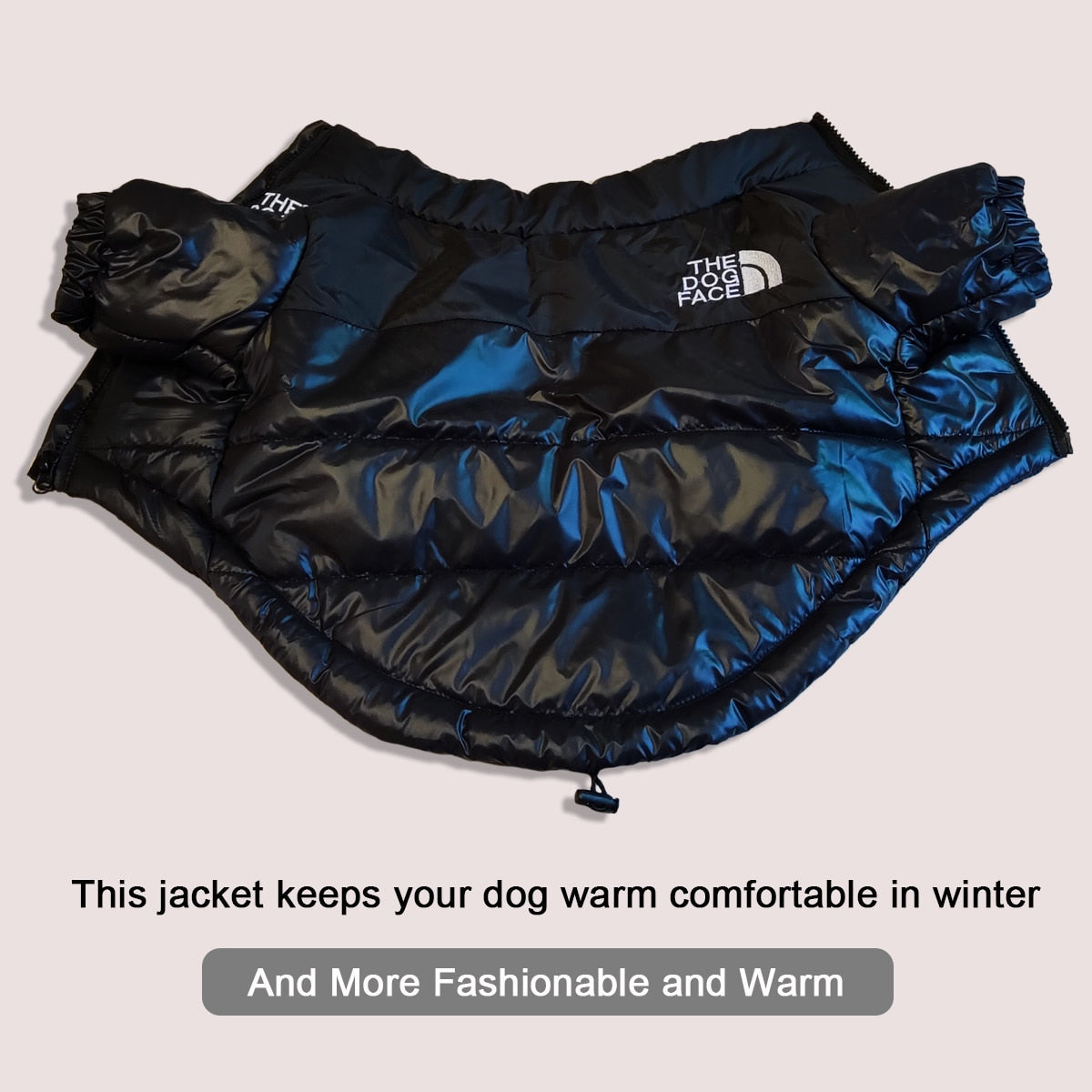 windproof-reflective-dog-jacket