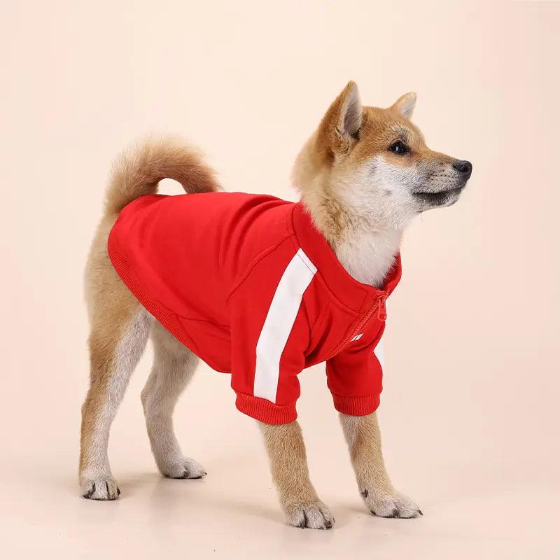 Winter Luxury Dog Sweater-3