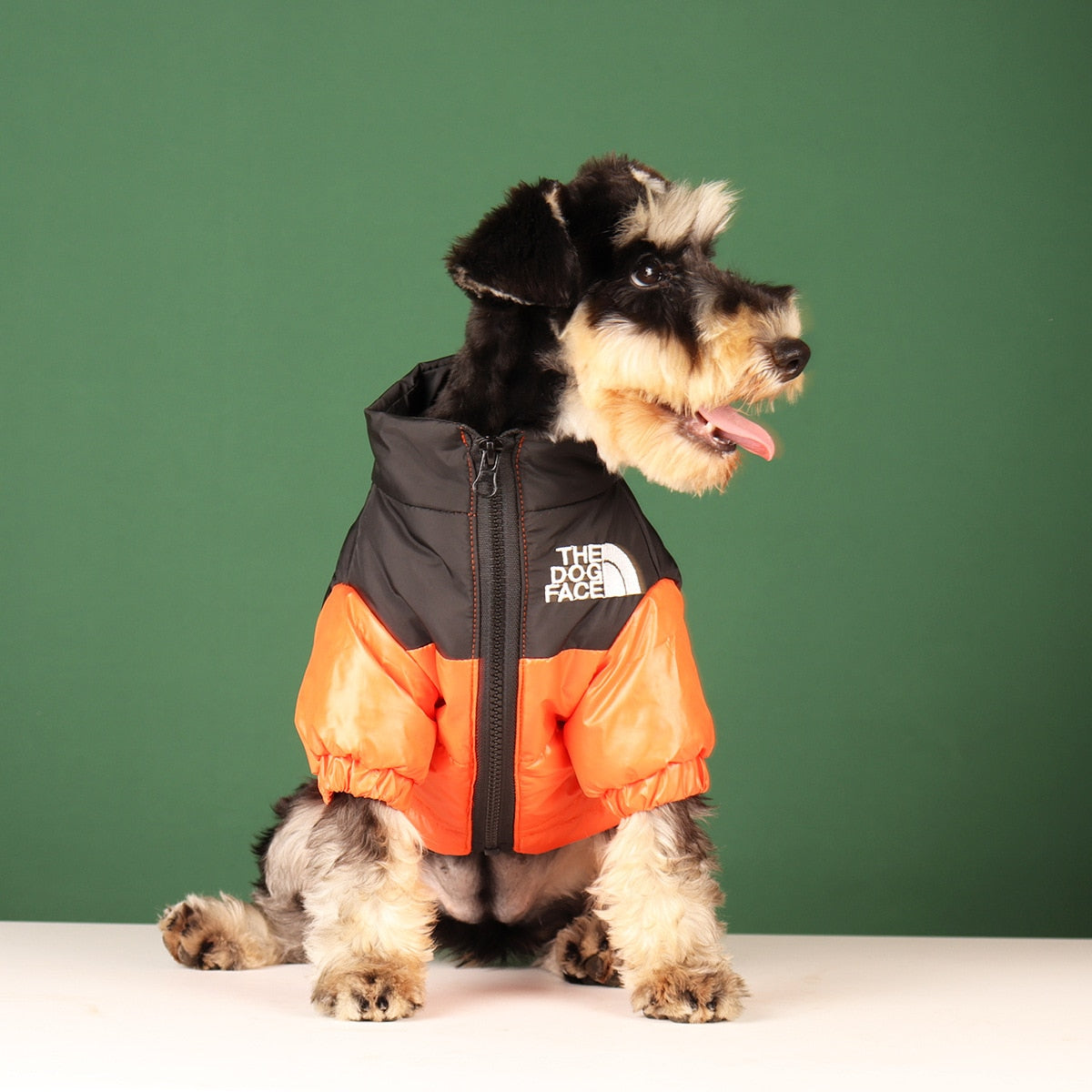 windproof-reflective-dog-jacket