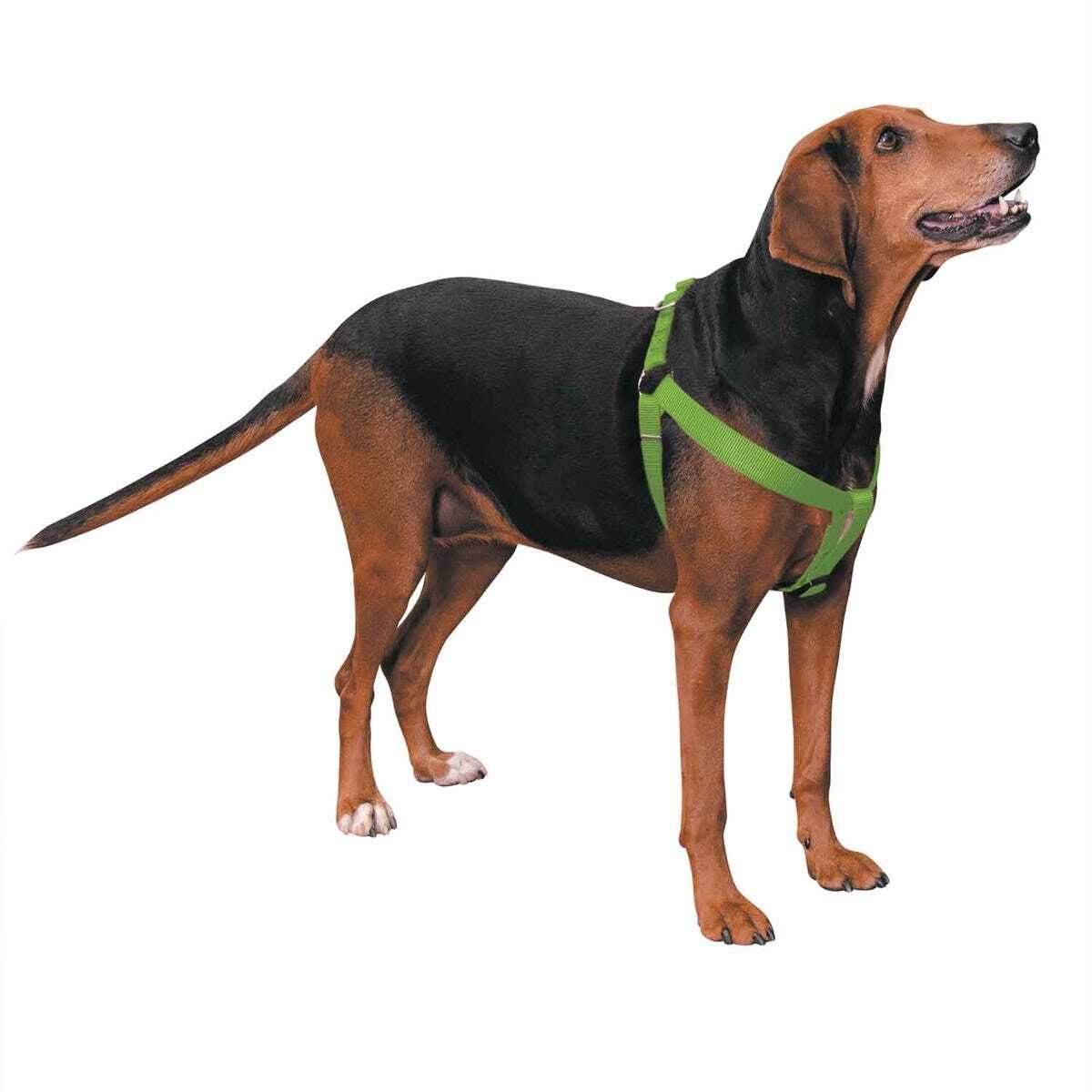 Casual Canine Two-Step Harness 15-25 x 5/8 in Black