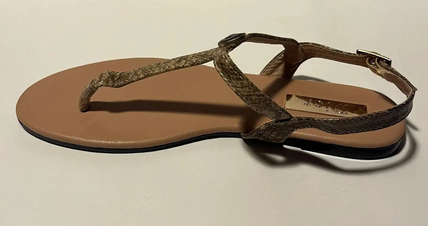 Women Thong Design Sandals with Back Dior