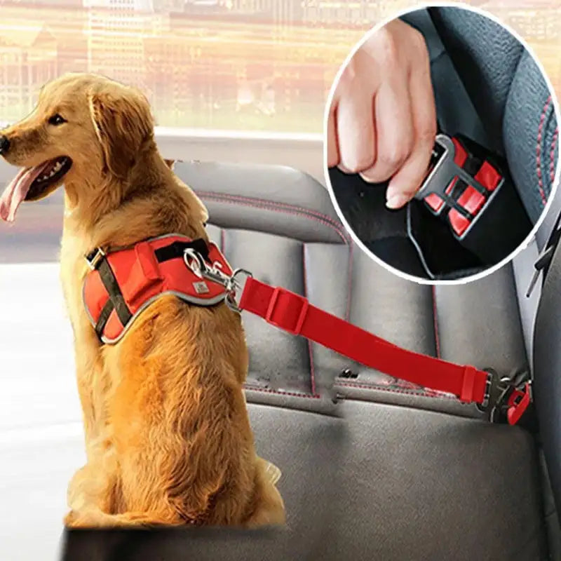 Telescopic Traction Rope For Pet Car Seat Belt-0