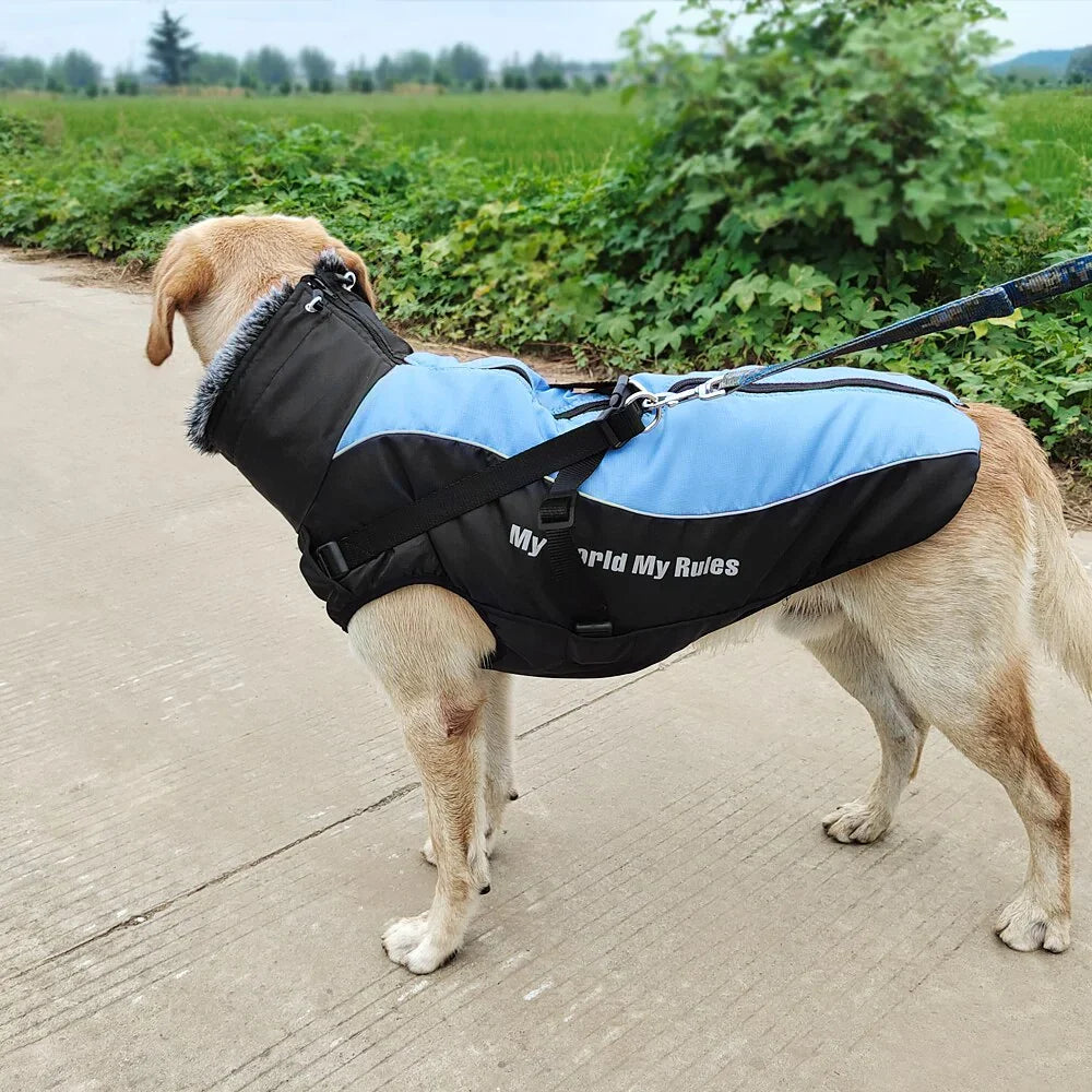 waterproof-thicken-winter-dog-coat-with-harness-for-medium-to-large-dogs