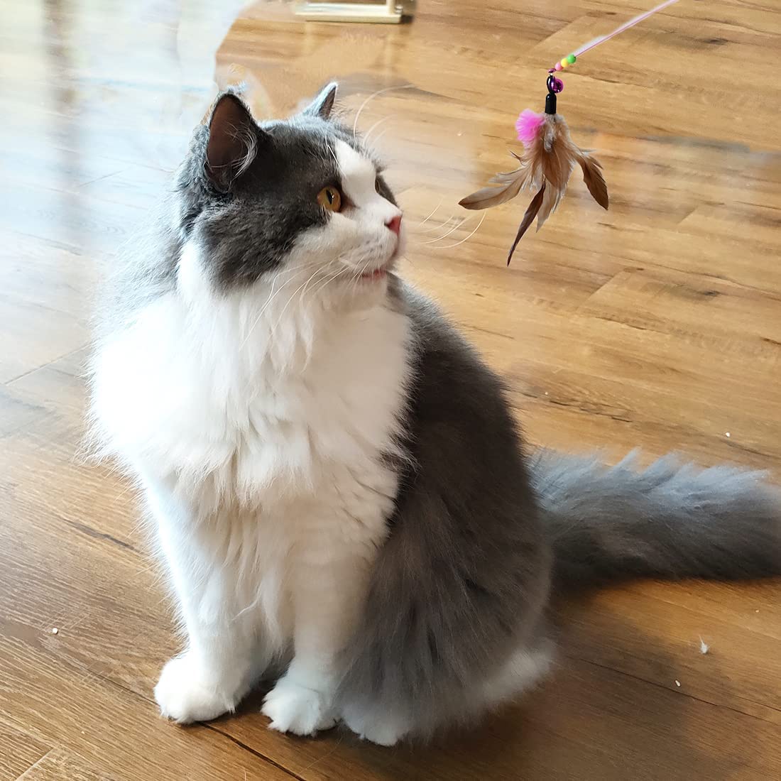 interactive-feather-and-ball-cat-toys