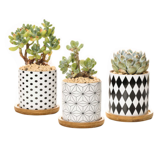 B&W Planters Set of 3-0