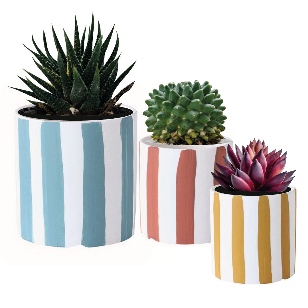 Playful Planters Set of 3-0