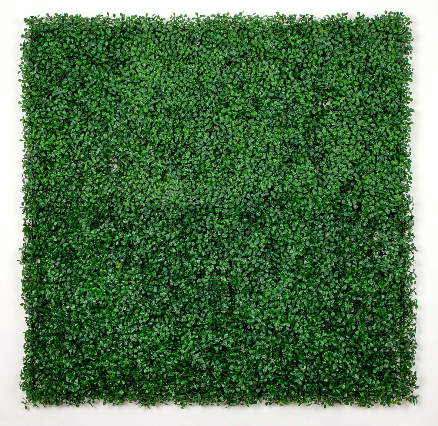 Artificial Boxwood Green Wall 33SQ FT UV Resistant - American Smart