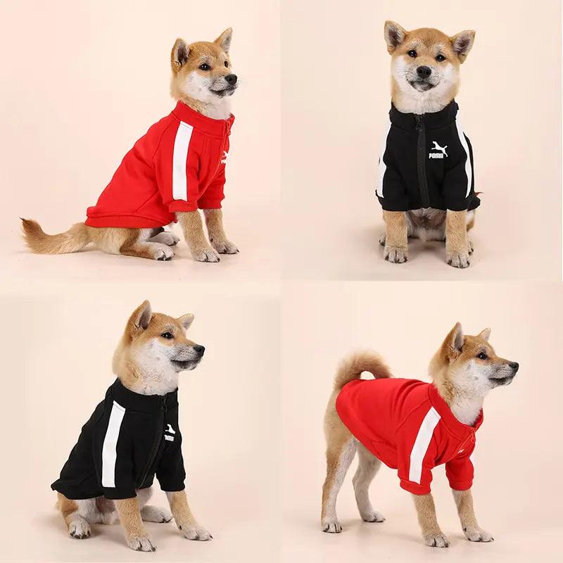 Winter Luxury Dog Sweater-2