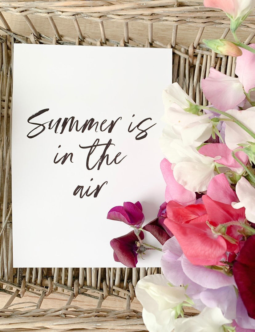 Summer Is In The Air Summer Seasonal Wall Home Decor Print-2