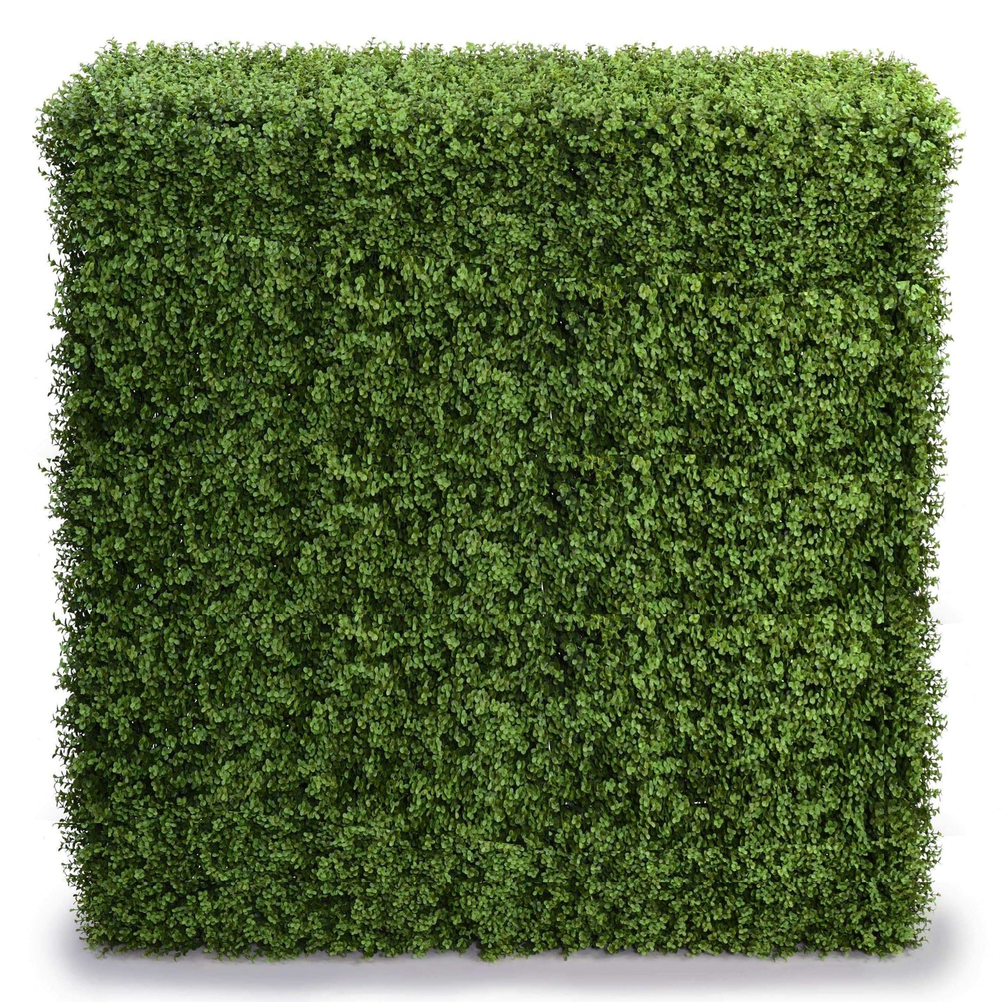 Indoor / Outdoor UV Portable Pittosporum Artificial Hedge - 1.5m High x 1.5m Wide x 30cm Deep-0