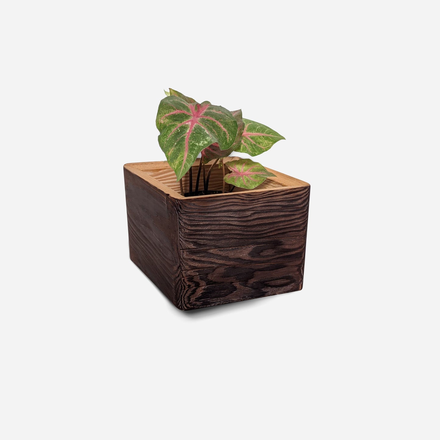 Diamond self-watering, wall-mounted planter-1