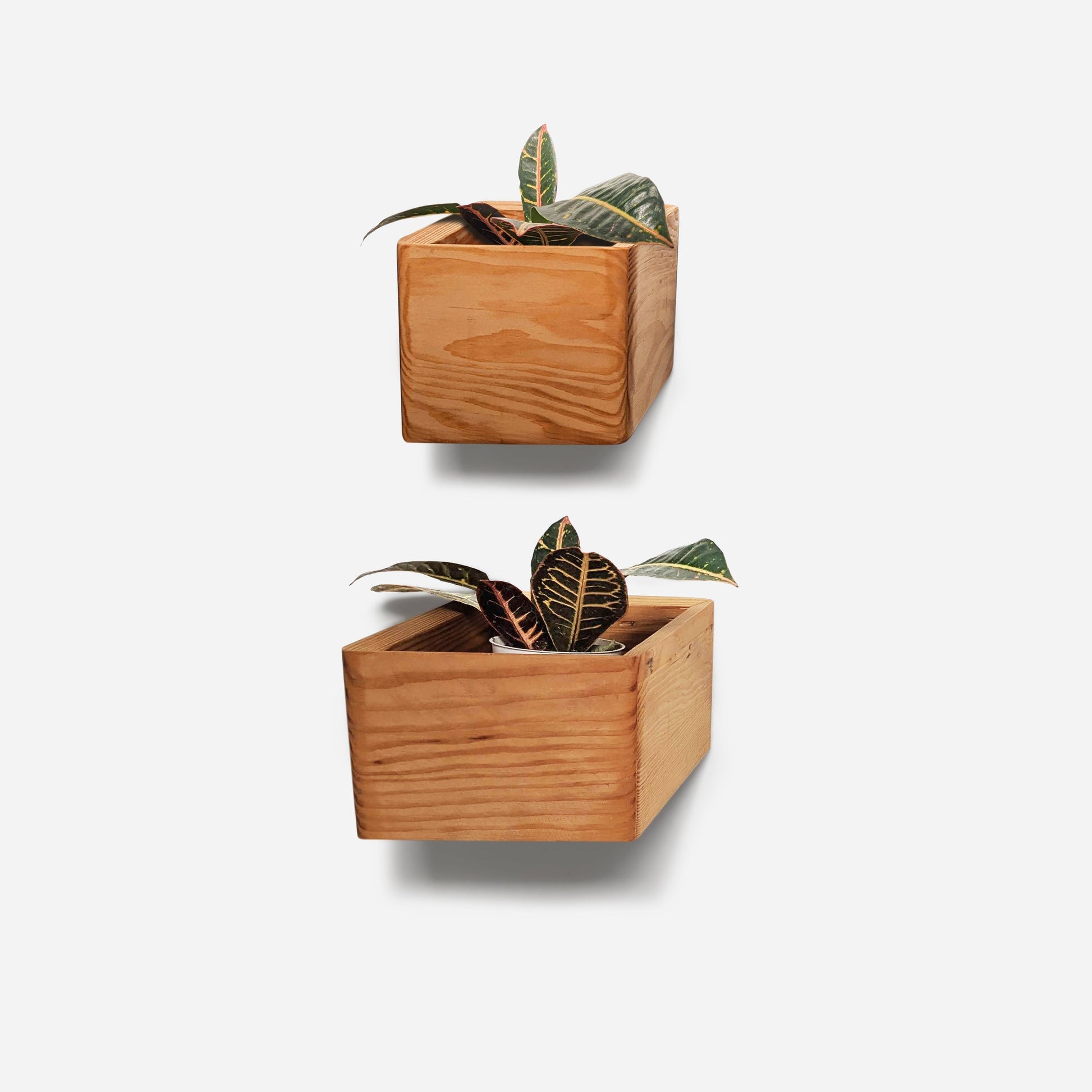 Diamond self-watering, wall-mounted planter-9