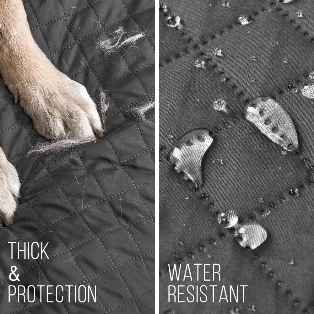 waterproof-sofa-cover-anti-slip-and-scratch