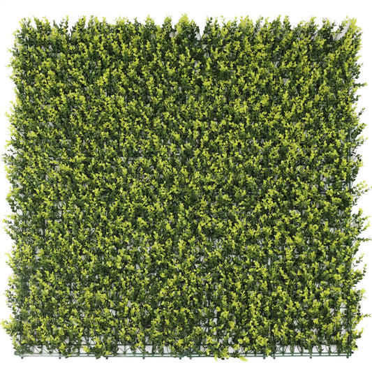 Yellow English Artificial Boxwood Wall 40" x 40" 11SQ FT UV Resistant - American Smart