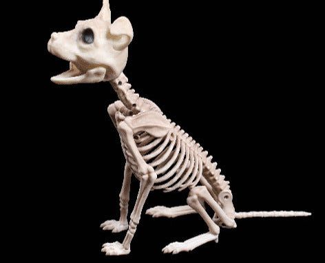 Size: 19cm, style: Sitting dog - Halloween Decoration Artificial Animal Skeleton