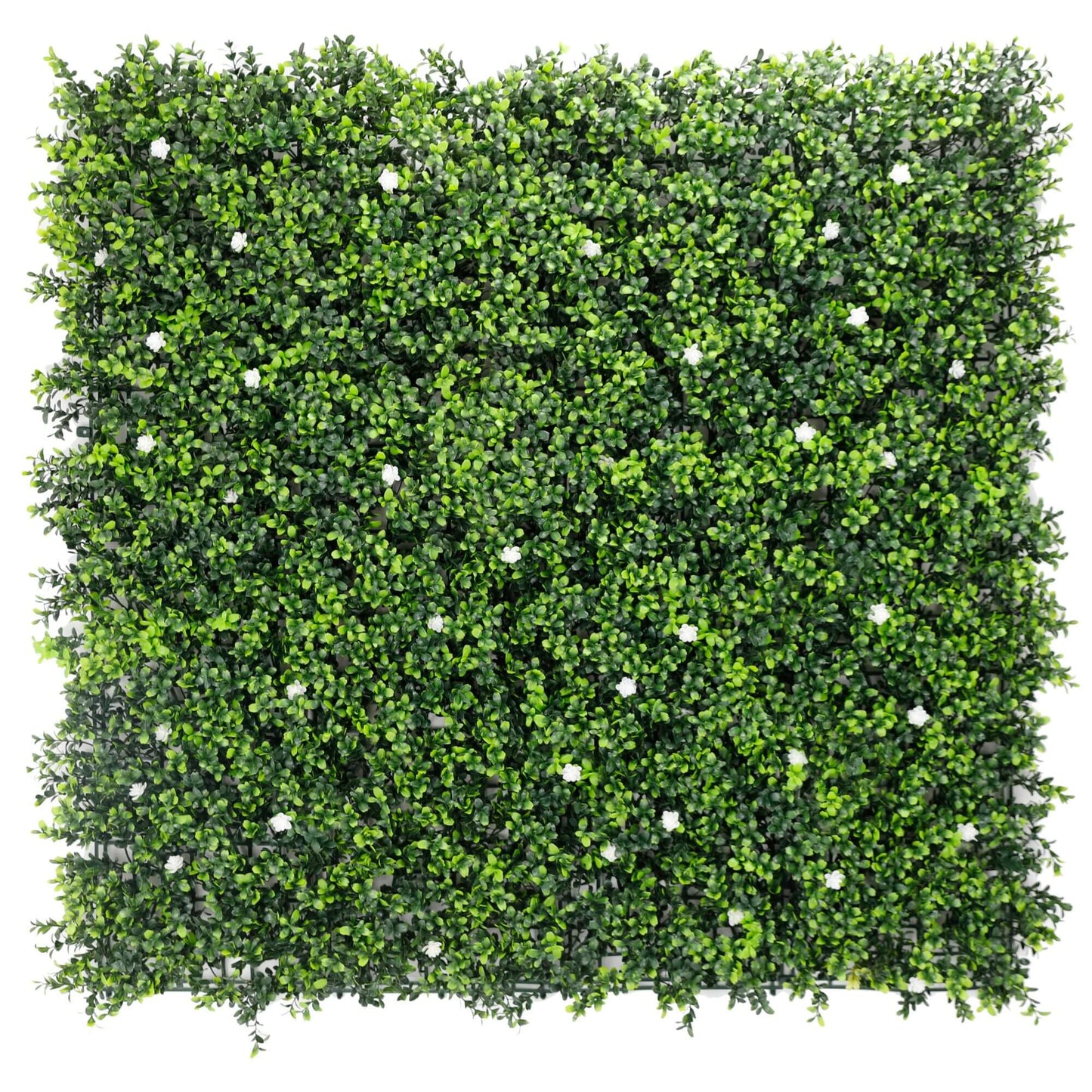 White Flowering Artificial Boxwood Wall 40" x 40" 11SQ FT - American Smart